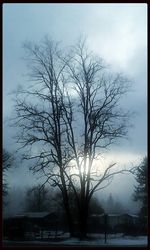 Bare trees on landscape against sky