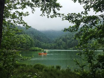 Scenic view of lake against trees