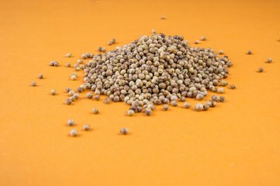 Close-up of eggs against orange background