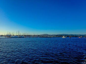 Sailboats in sea against clear blue sky