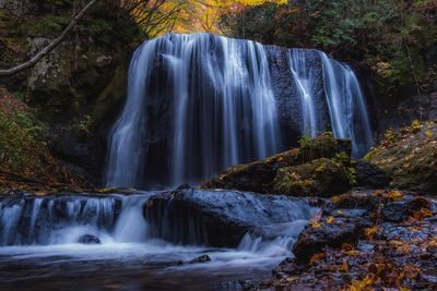 Scenic view of waterfall in forest