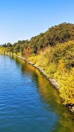 Scenic view of river against clear blue sky