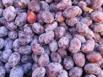 Full frame shot of blackberries in market