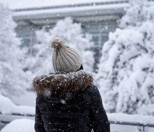 Rear view of turtle on snow covered landscape