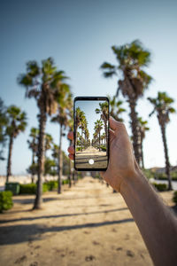 Man photographing through smart phone against sky