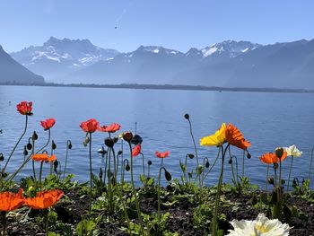 Scenic view of lake against cloudy sky