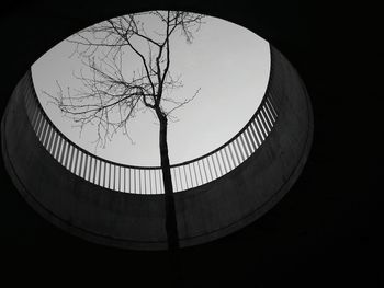 Low angle view of silhouette trees against sky