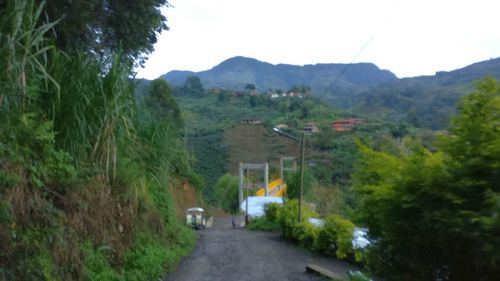 Road amidst trees and houses against sky