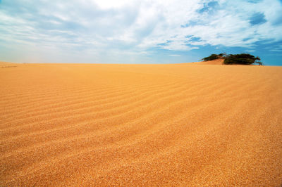 Scenic view of desert against sky