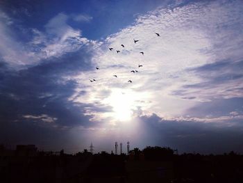 Low angle view of birds flying over the sky