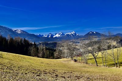 Scenic view of field with trees and mountains against blue sky