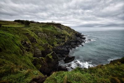 Cornish wilderness