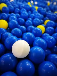 Close-up of blue eggs