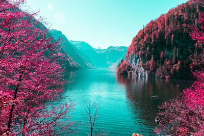 Scenic view of river by trees against clear sky