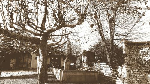 Bare trees against built structure