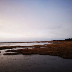 Scenic view of beach against sky