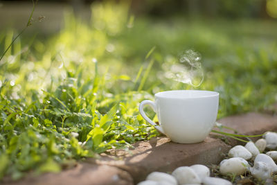 Close-up of hot drink outdoors