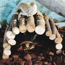 Close-up of stack of logs