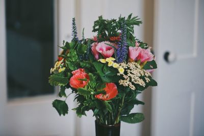 Close-up of roses in vase at home