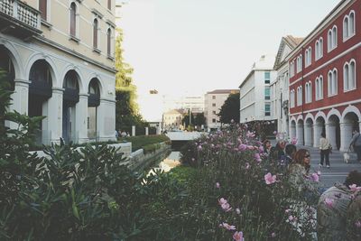 Flowering plants and buildings in city against sky