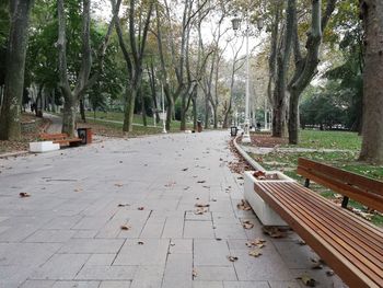 Empty benches on footpath in park