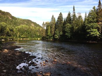 Scenic view of river against cloudy sky