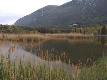 Scenic view of lake against sky