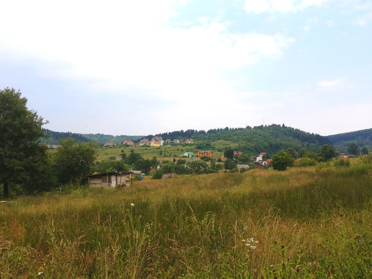 plant, environment, landscape, land, field, sky, architecture, building, growth, grass, built structure, nature, tree, scenics - nature, building exterior, rural scene, beauty in nature, tranquility, green color, no people, outdoors