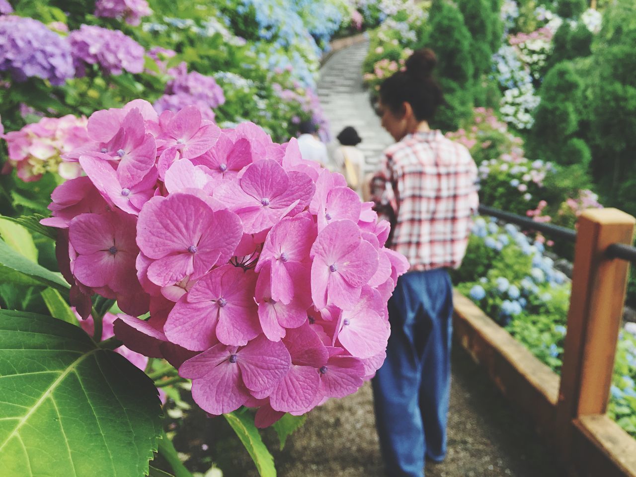 flower, lifestyles, leisure activity, freshness, person, growth, plant, casual clothing, focus on foreground, park - man made space, standing, nature, holding, fragility, outdoors, day, beauty in nature, rear view