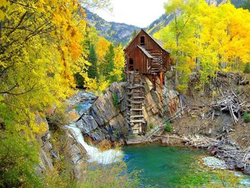 Scenic view of river in forest during autumn