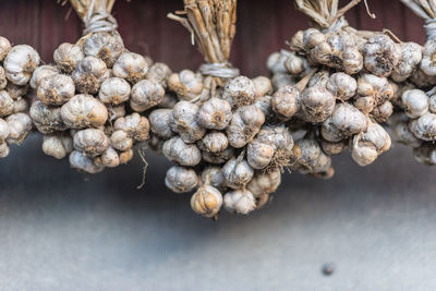 Close-up of dried garlic