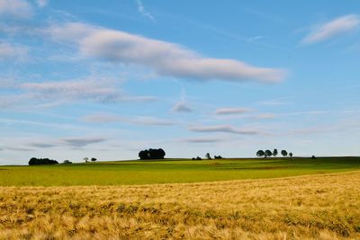 Scenic view of agricultural field against sky