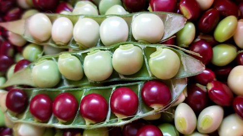Full frame shot of multi colored candies