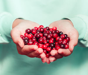 Close up of young woman hands holding red cowberries, front view.