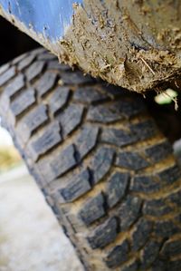 Close-up of textured surface