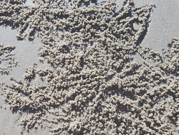 High angle view of sand on beach