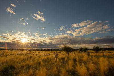 Scenic view of field against sky during sunset