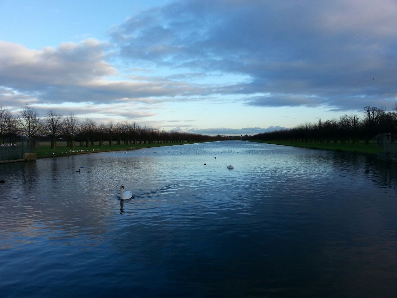 MAN SWIMMING IN LAKE