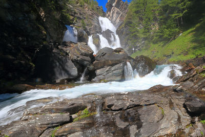 Scenic view of waterfall in forest