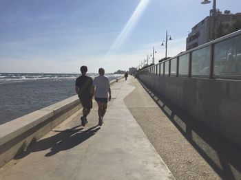 Rear view of people walking on shore against sky