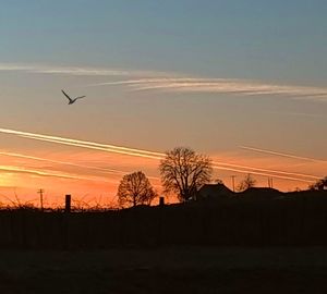 Silhouette birds flying against sky during sunset