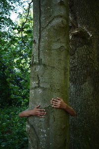 Man holding tree trunk in forest