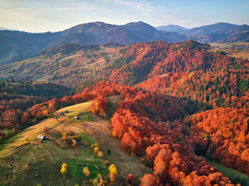 Beautiful mountain autumn landscape with meadow colorful forest. red, yellow, orange trees hillsides