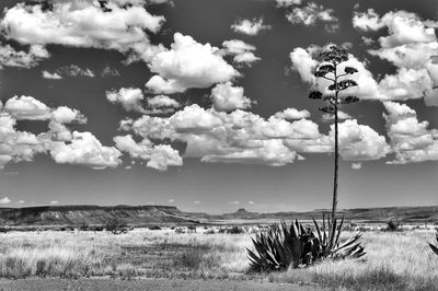 Scenic view of landscape against cloudy sky