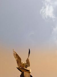 Low angle view of bird flying against sky