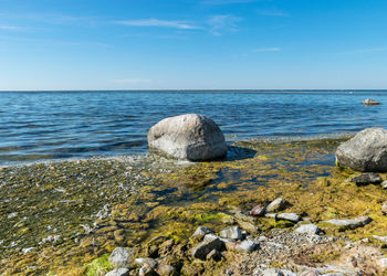 Beautiful summer day with traditional saaremaa coast, short green grass, dune sand, 