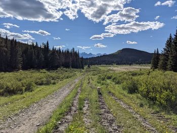 Scenic view of a grassy meadow against sky