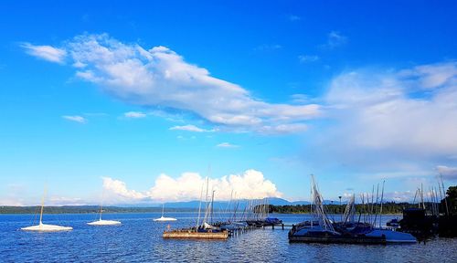 Sailboats moored in sea against sky