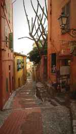 Narrow street amidst houses in town