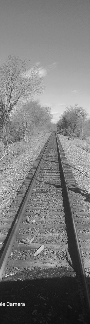 black and white, track, railroad track, transportation, rail transportation, monochrome, monochrome photography, sky, the way forward, line, nature, diminishing perspective, vanishing point, no people, transport, white, tree, mode of transportation, plant, day, snow, environment, outdoors, travel, horizon, railway, landscape, black